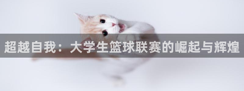 超越自我：大学生篮球联赛的崛起与辉煌