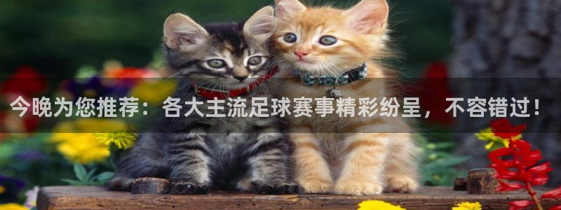  苹果手机好玩的体育类游戏：今晚为您推荐：各大主流足球赛事精彩