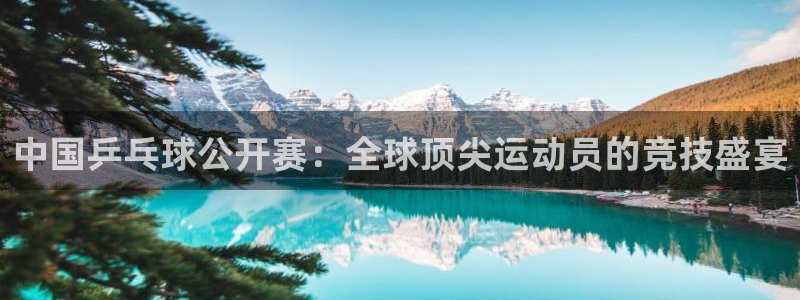  苹果体感游戏一览表：中国乒乓球公开赛：全球顶尖运动员的竞技盛