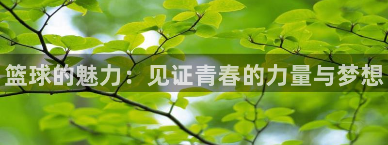 苹果体育竞猜用什么软件打开：篮球的魅力：见证青春的力量与梦想