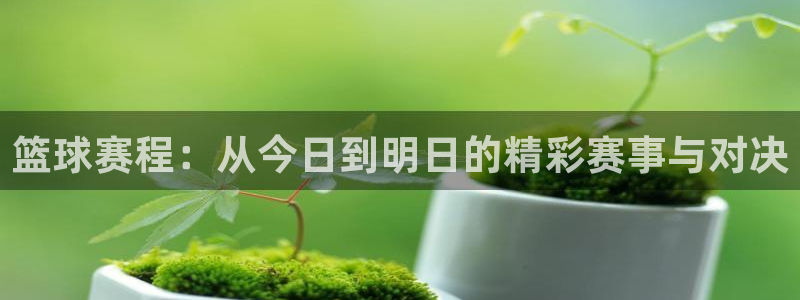 pg体育官方网站入口：篮球赛程：从今日到明日的精彩赛事与对决