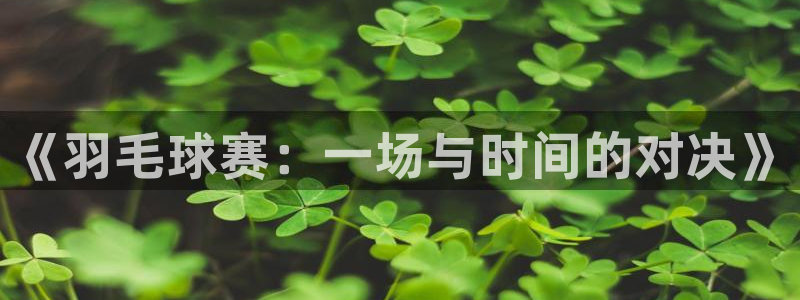  苹果体感游戏有哪些：《羽毛球赛：一场与时间的对决》