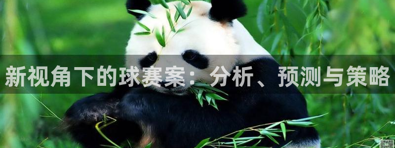 苹果自带体育软件：新视角下的球赛案：分析、预测与策略
