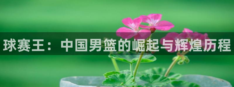  玩pg电子游戏哪个网站好：球赛王：中国男篮的崛起与辉煌历程