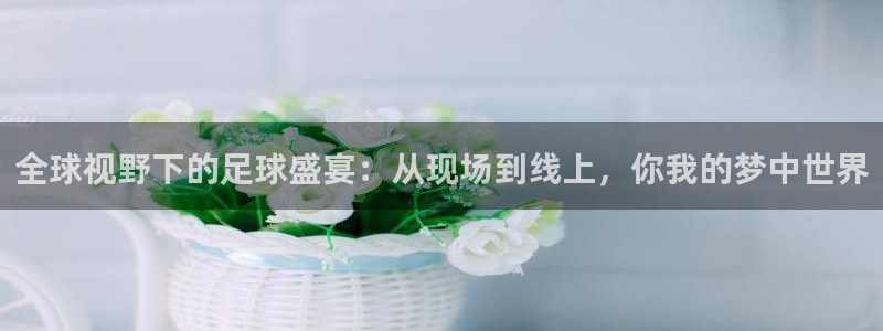 pg体育电子游戏app：全球视野下的足球盛宴：从现场到线上，