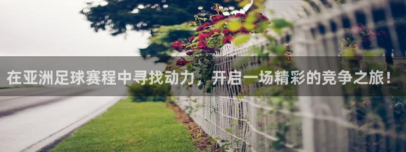  pg体育免费观看全部：在亚洲足球赛程中寻找动力，开启一场精彩