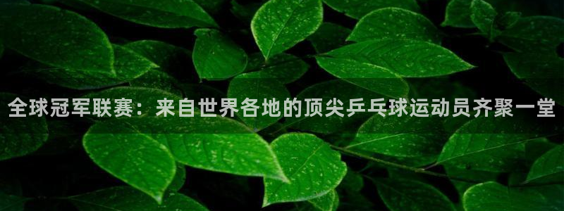  体育pg：全球冠军联赛：来自世界各地的顶尖乒乓球运动员齐聚一