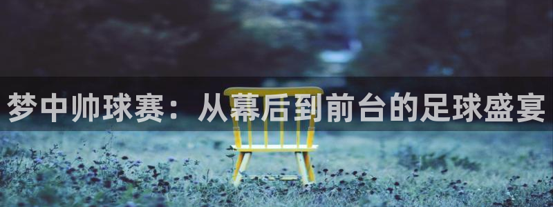  pg体育模拟器地址：梦中帅球赛：从幕后到前台的足球盛宴