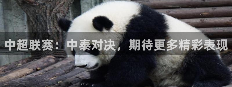 app官网体育：中超联赛：中泰对决，期待更多精彩表现