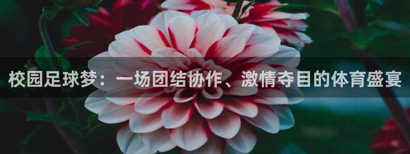  pg体育平台网址是多少：校园足球梦：一场团结协作、激情夺目的