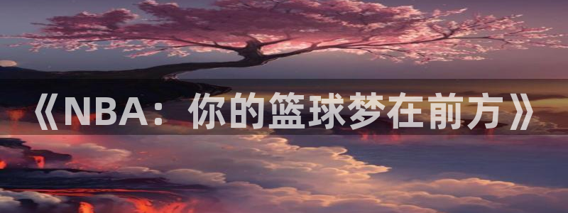 pg体育是南宫吗：《NBA：你的篮球梦在前方》