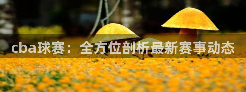  苹果体育是什么软件：cba球赛：全方位剖析最新赛事动态